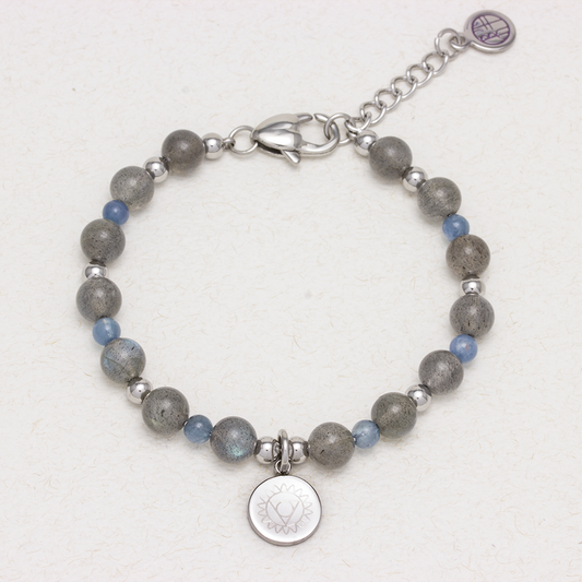 Chakra Crystal Stainless Steel Bracelet - Don't be a Loner